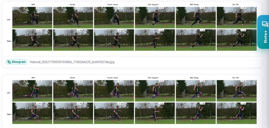 Running gait and sprint mechanics analysis
