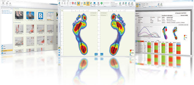 ForceDeck strength and power testing at Physio Tullamore